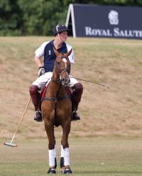 Prince Harry Royal Salute Polo Cup