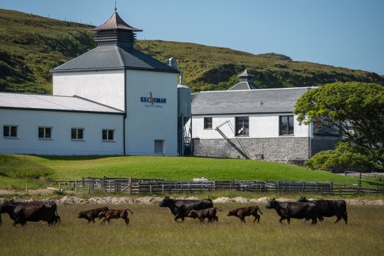 Kilchoman Distillery Kilchoman Distillery
