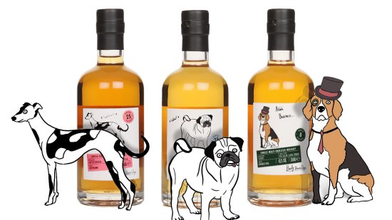 Master of Malt Badly Drawn Dogs